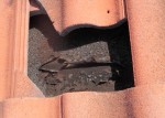 damaged tile underlayment