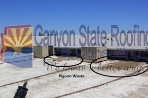AZ commercial foam roofing with waste damage