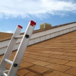 Canyon State Roofing Ladder