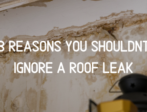 3 Reasons You Shouldnt Ignore a Roof Leak