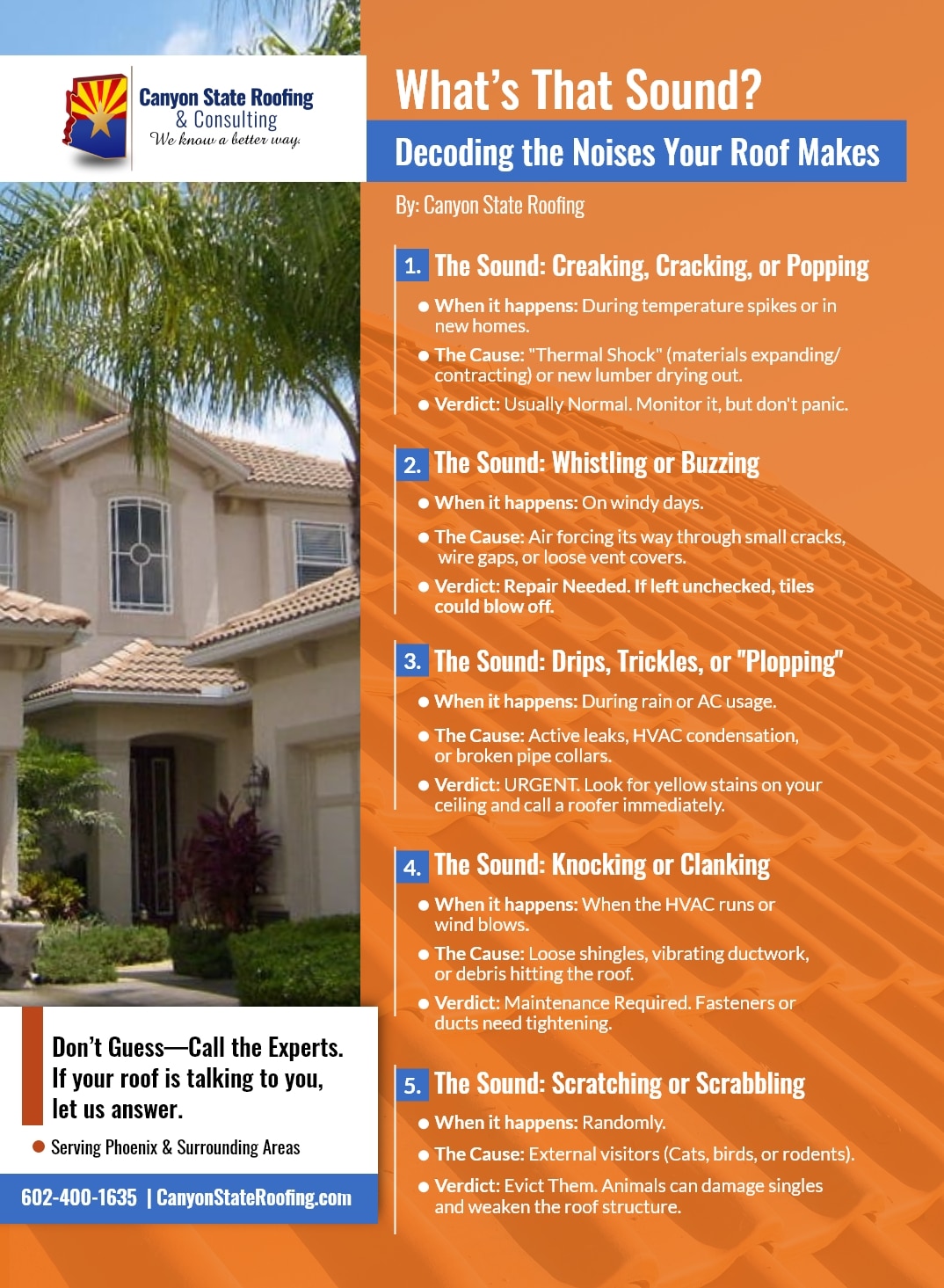 Infographic that explains how to Decode the Noises Your Roof Makes