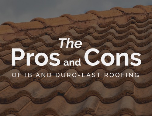 The Pros and Cons of IB and Duro-Last Roofing
