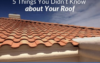 5 Things You Didn’t Know about Your Roof