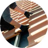 Mesa New Roof Installations And Emergency Roof Repairs