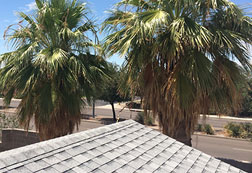 Roof Repairs For Homes In Seville, Gilbert