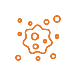 Damp And Darkened Shingles In Phoenix